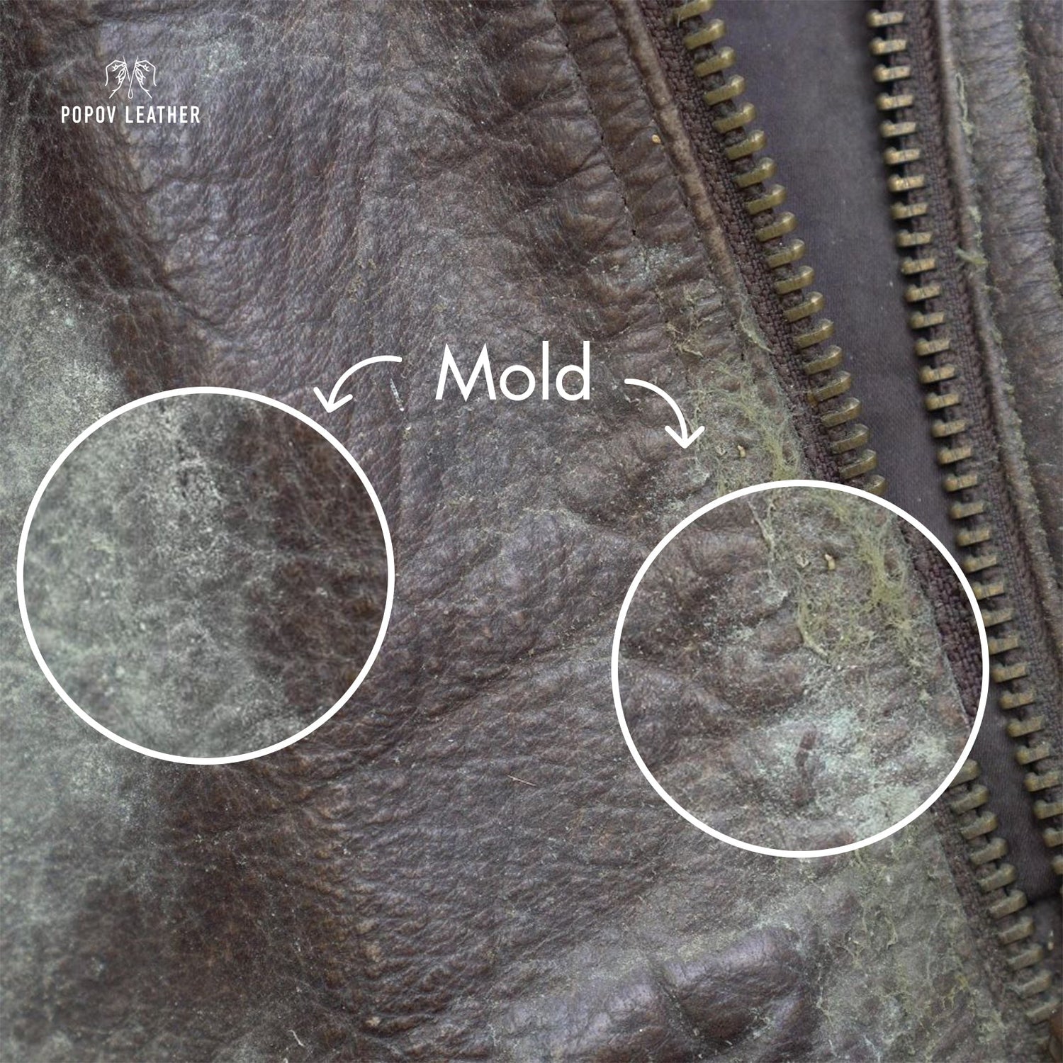 How to Clean Mold off Leather: Effective Tips and Techniques