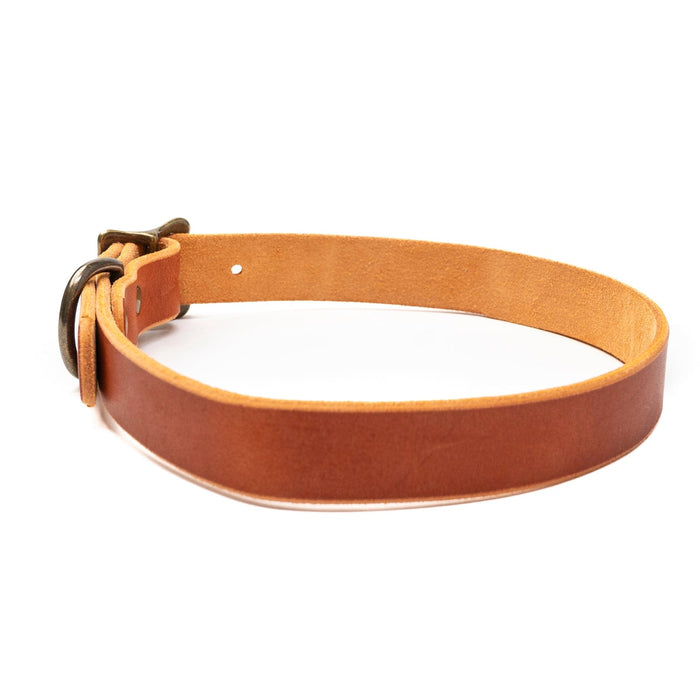 English Tan Dog Collar: Premium Leather for Your Pooch - Popov Leather®